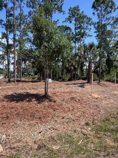 718 Columbus Avenue, Lehigh Acres FL 33972