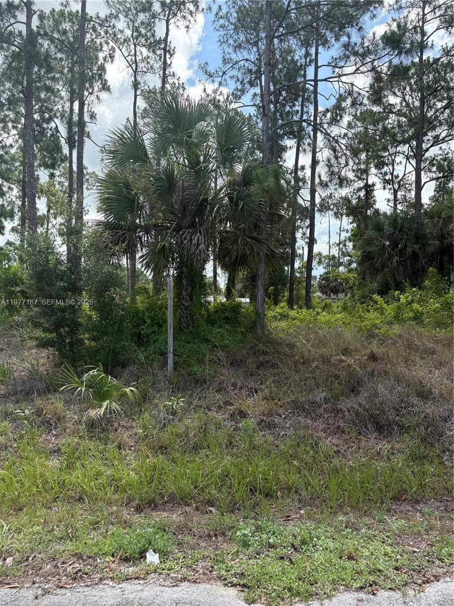 718 Columbus Avenue, Lehigh Acres FL 33972