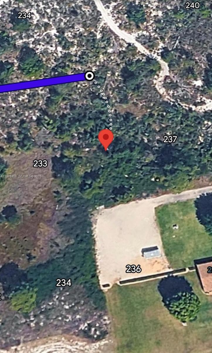 235 Pershing Ave, Lake Placid FL 33852