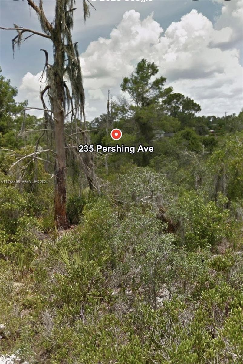 235 Pershing Ave, Lake Placid FL 33852