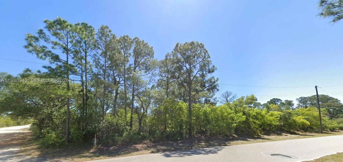 235 Deerwalk Ave, Lake Placid FL 33852