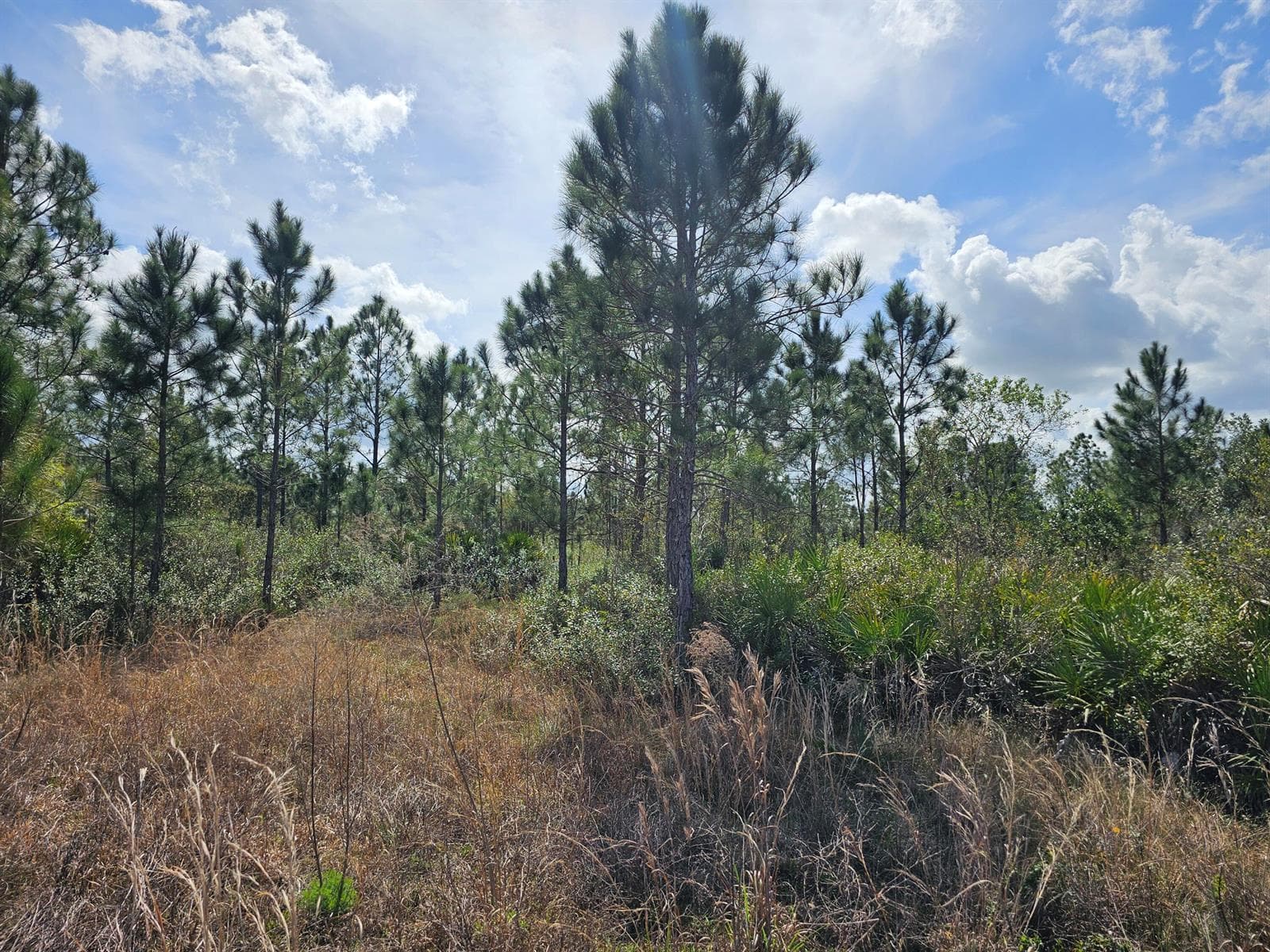 View from inside gate
