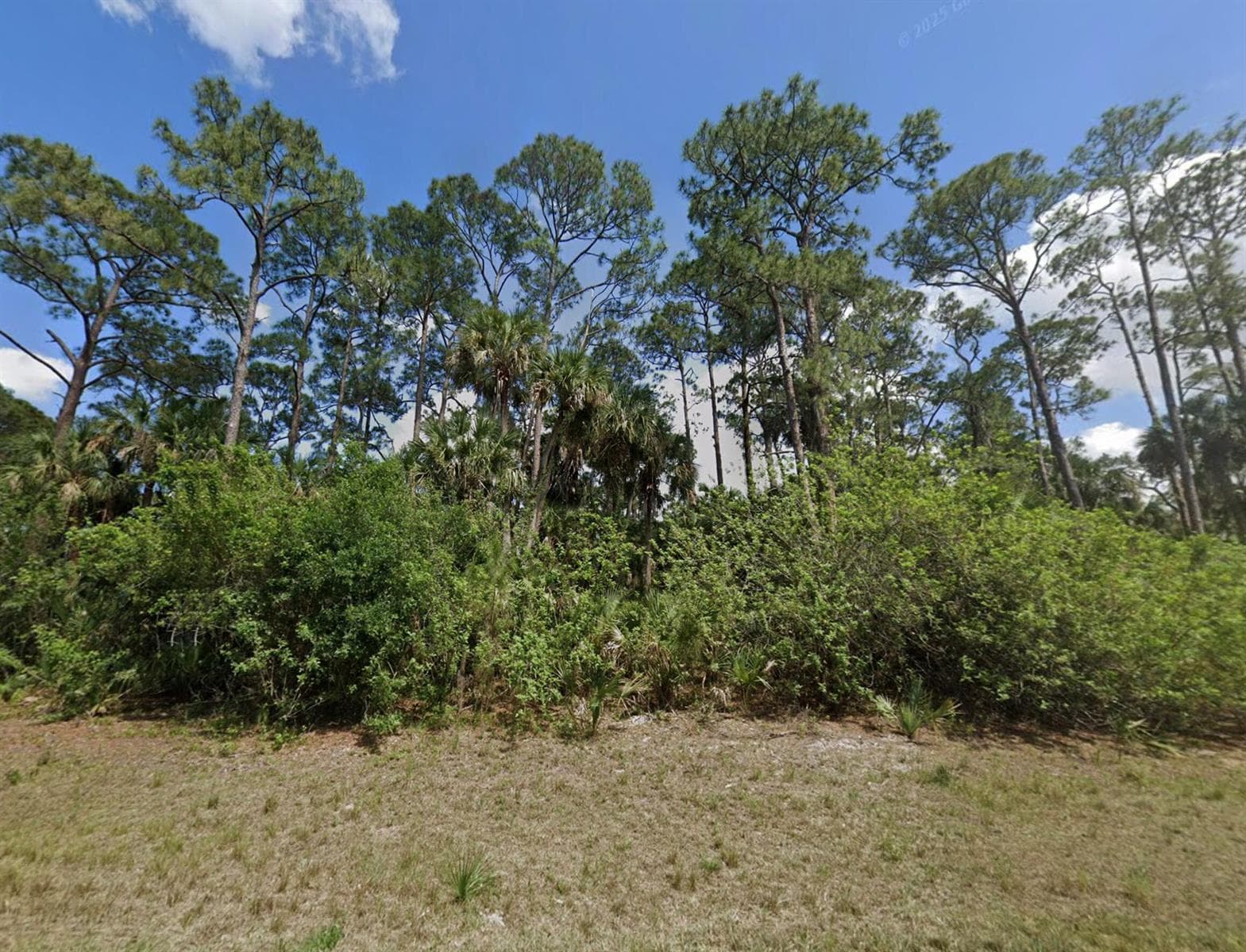 425 Skipper Terrace, FL 33935