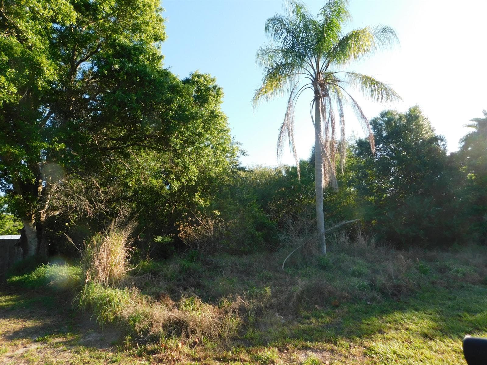 Ocala