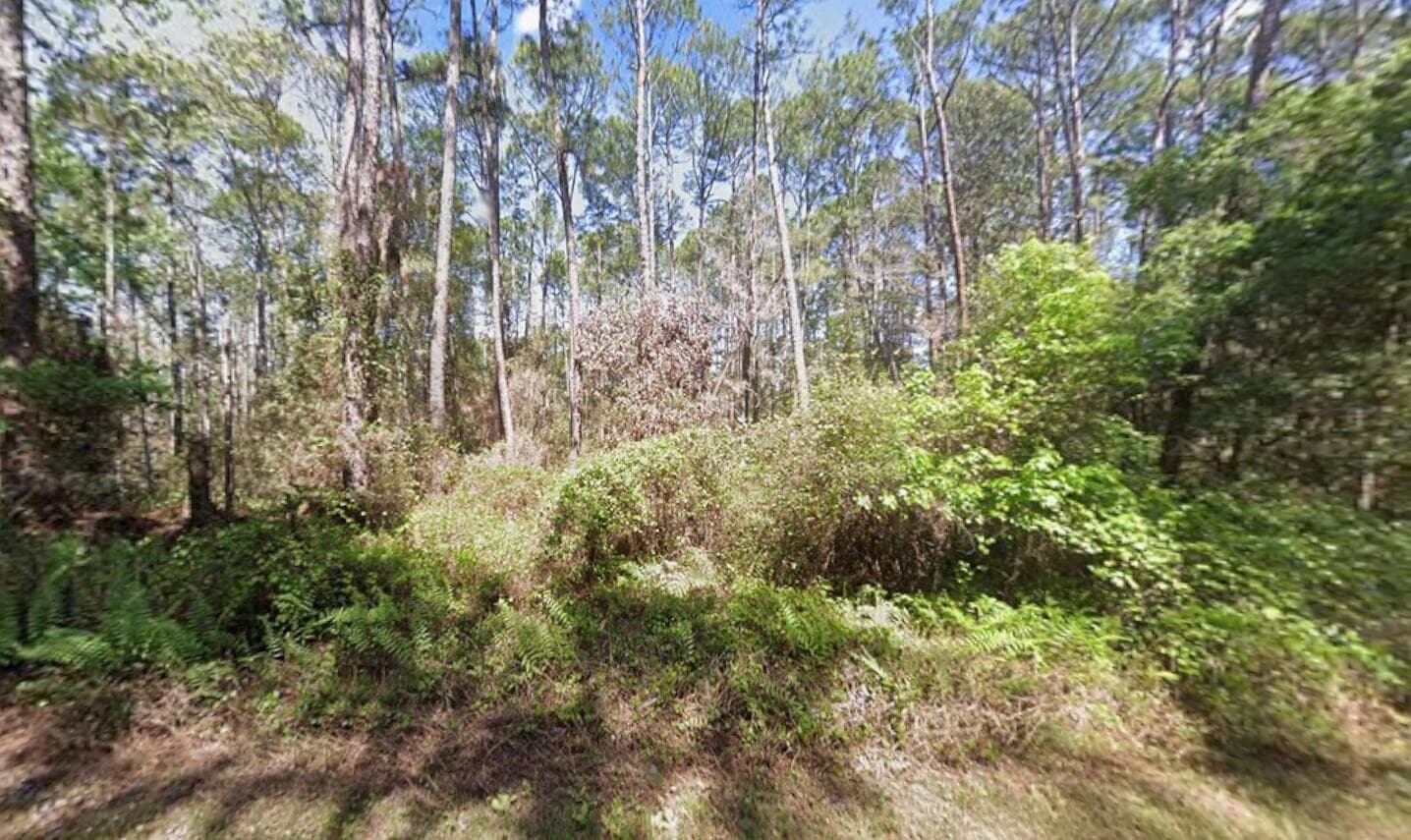 418 Palm Way, FL 32139