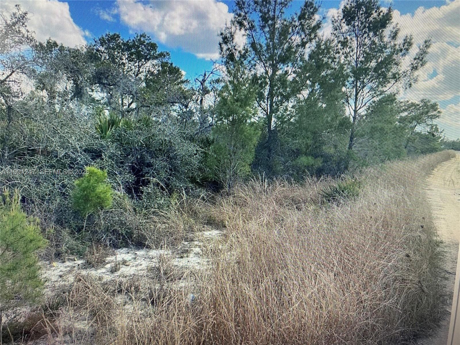 123 DARTMOOR AVE, Lake Placid FL 33852