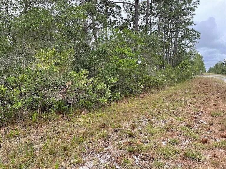 0 Bougainvillea Drive, FL 33855