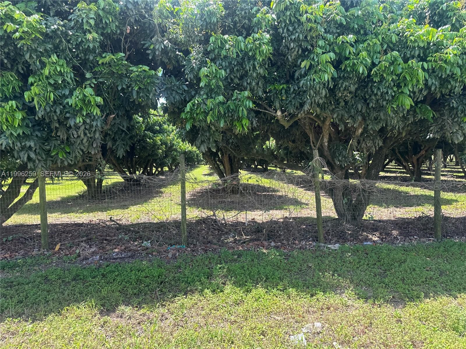 206XX SW 344 ST, Homestead FL 33034