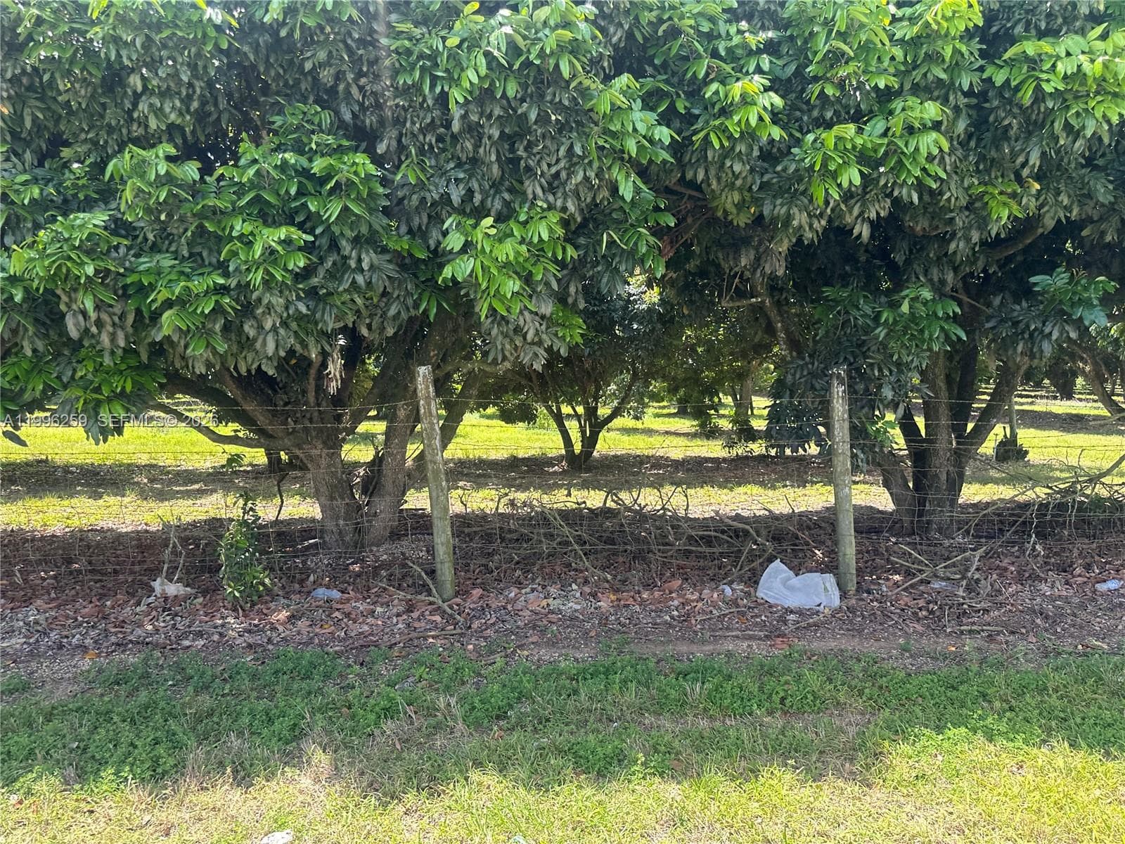 206XX SW 344 ST, Homestead FL 33034