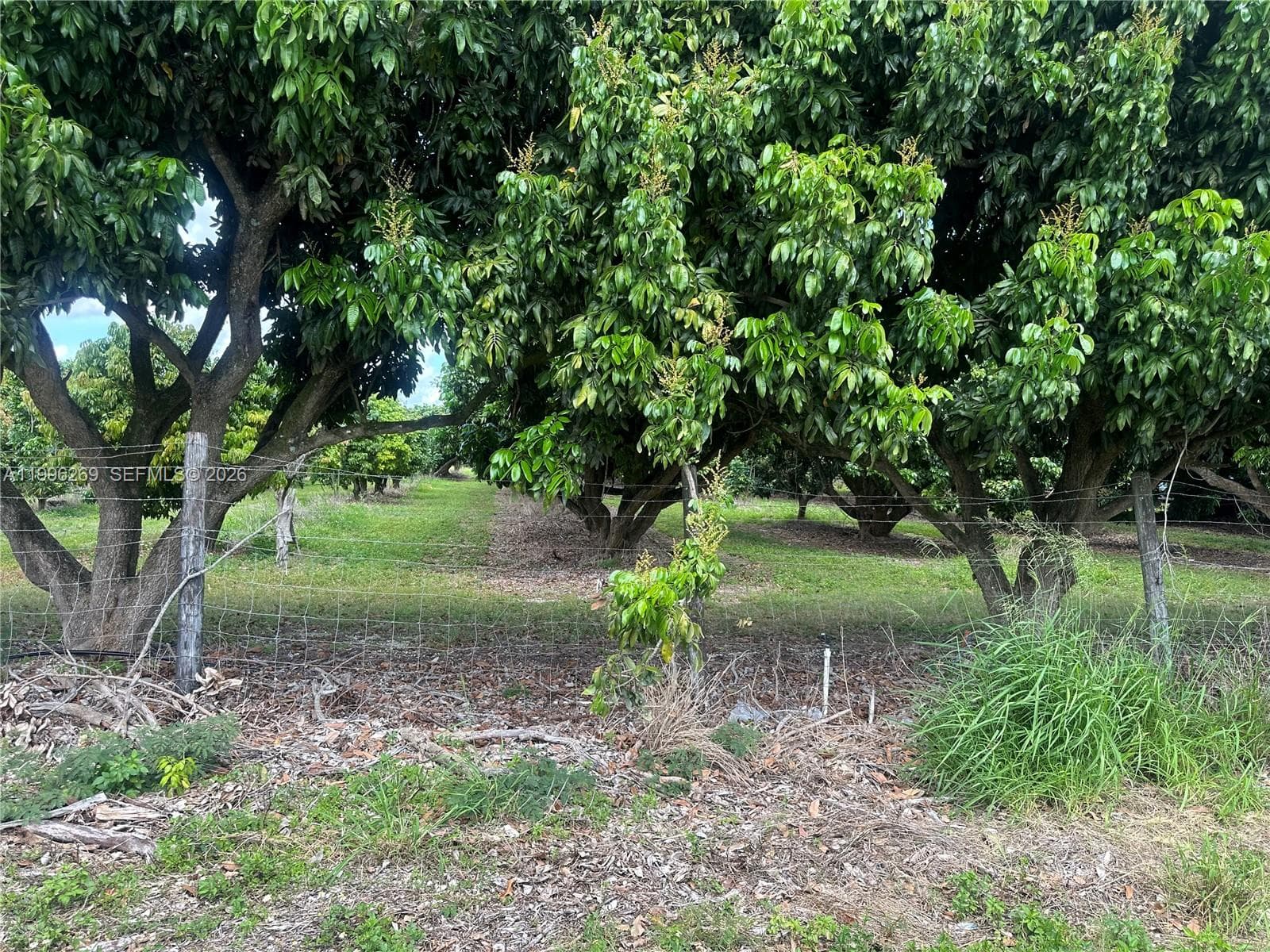 Homestead, FL, 33034