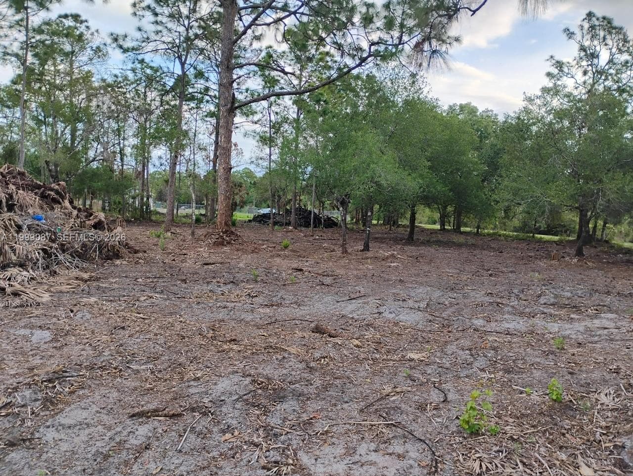 845 Appaloosa Avenue, Clewiston FL 33440
