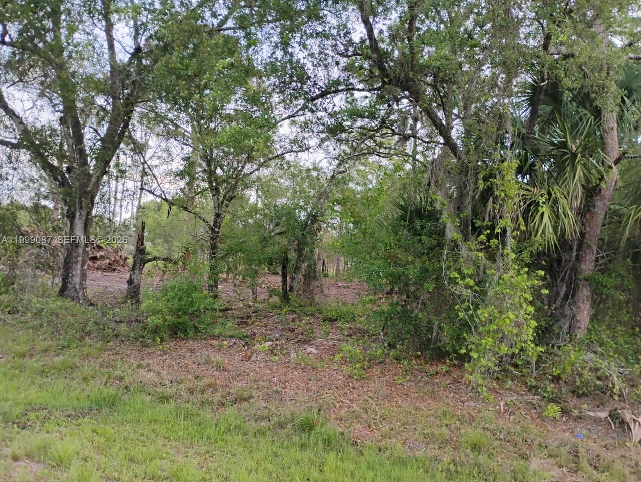 845 Appaloosa Avenue, Clewiston FL 33440