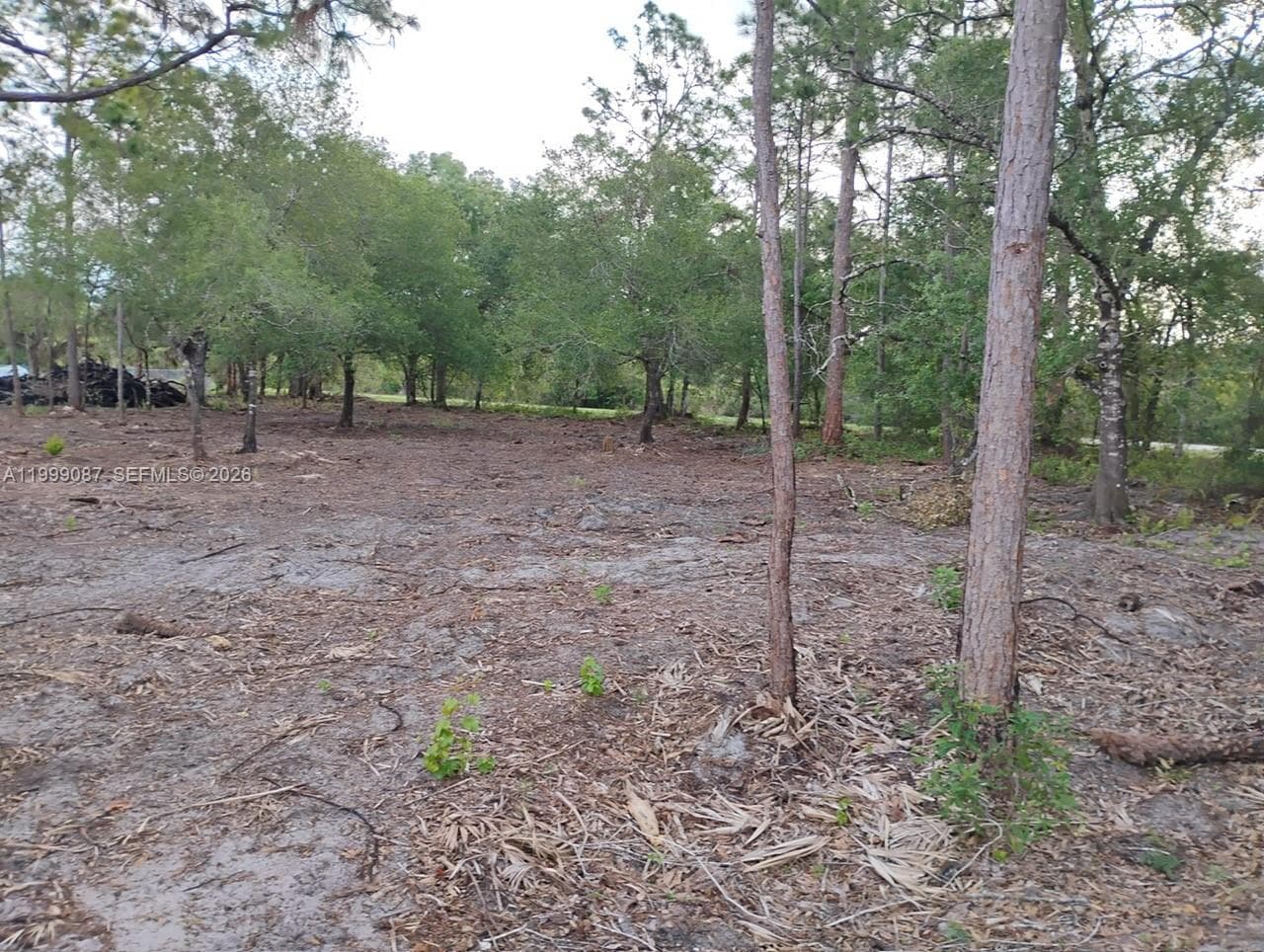 845 Appaloosa Avenue, Clewiston FL 33440