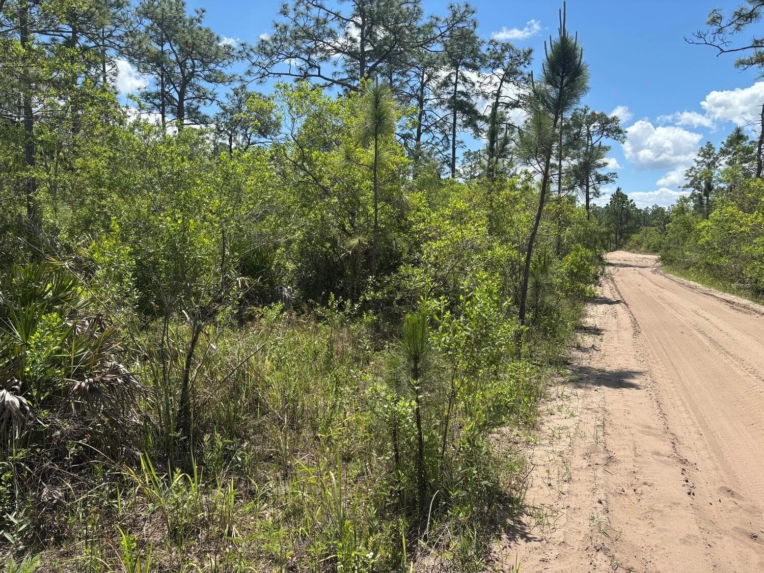 0 Holopaw Groves Road, FL 34772