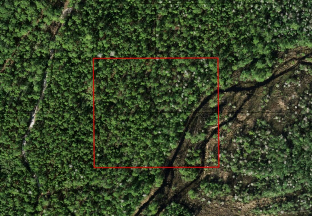 0 Holopaw Groves Road, FL 34772