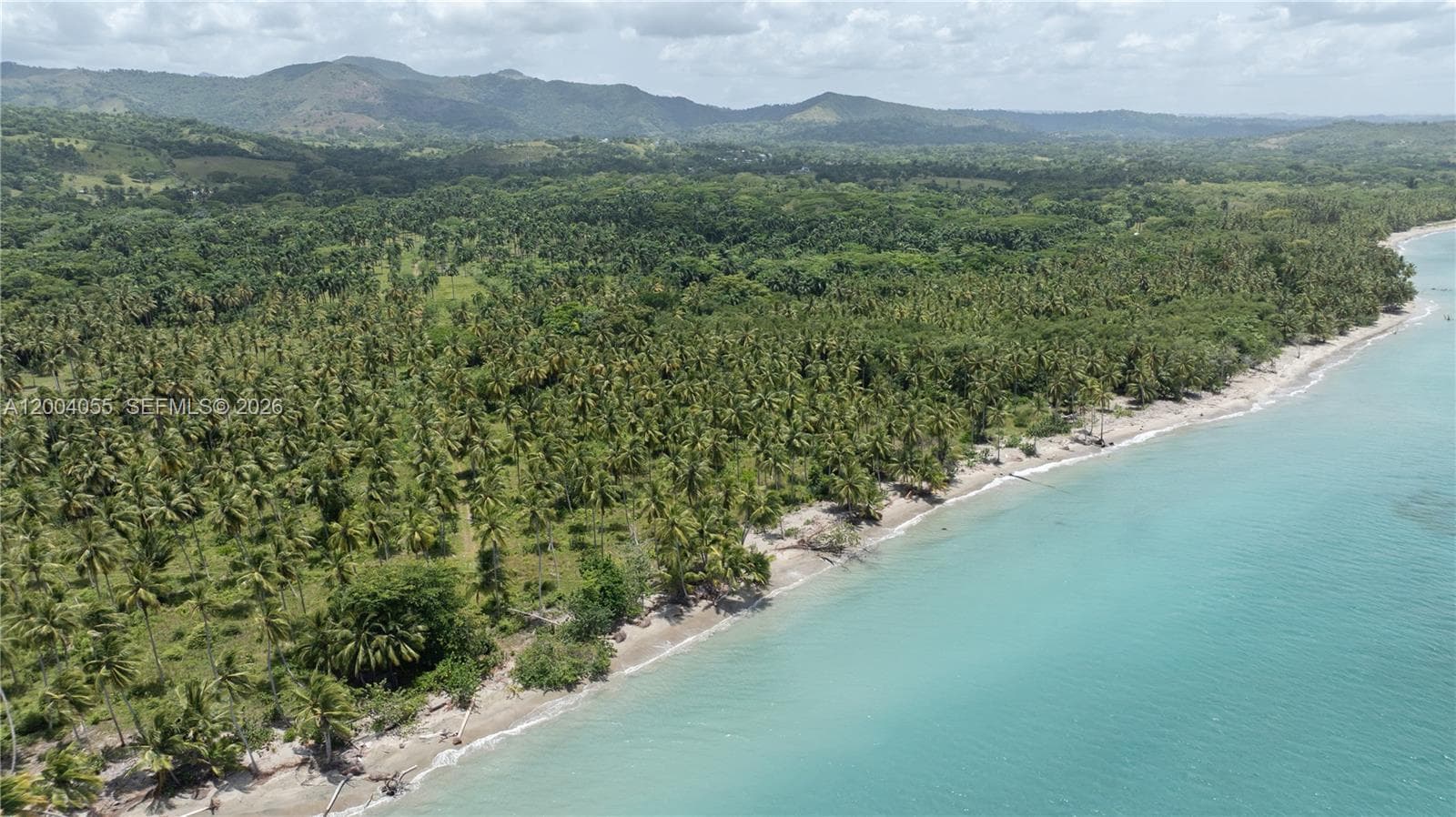 PLAYA MAGANTE, FL
