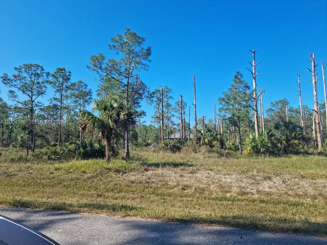 2309 Wellington Ave, Other City - In The State Of Florida FL 33920