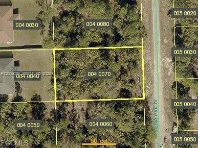 6003 Tena Ave N, Lehigh Acres FL 33971