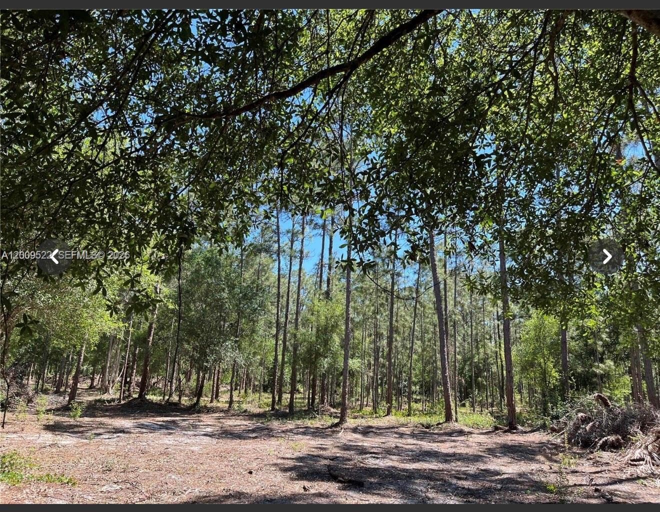 5120 18TH PIONEER, Clewiston FL 33440