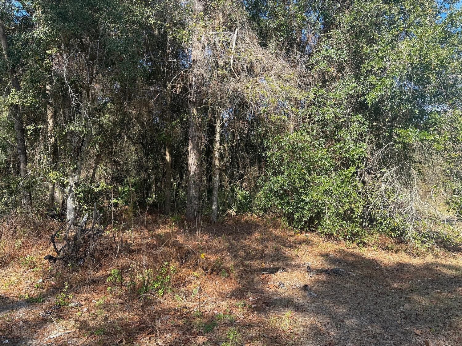 7178 W Wildfire Lane, FL 34448