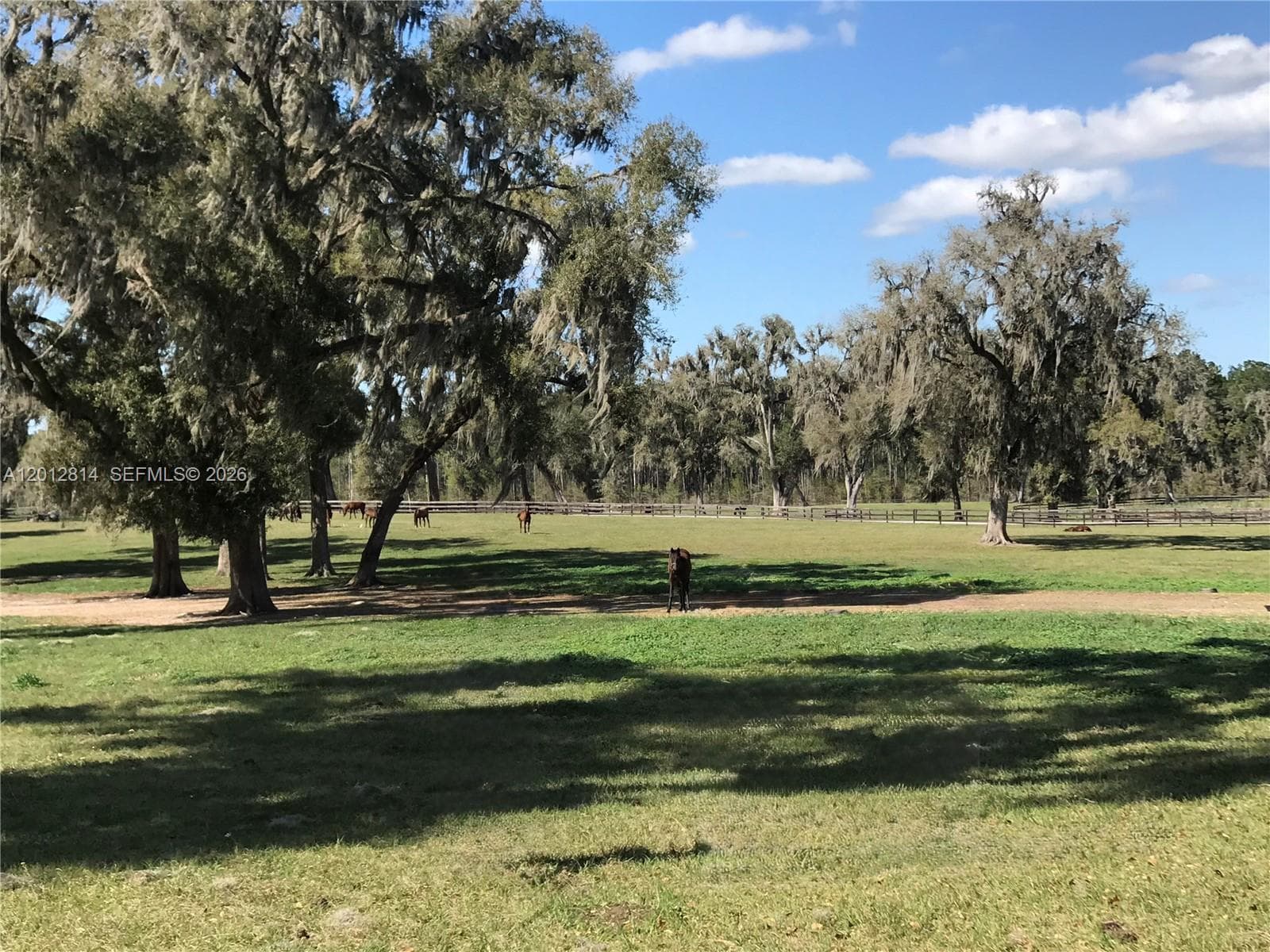 14500 N HWY 27, Ocala FL 34482