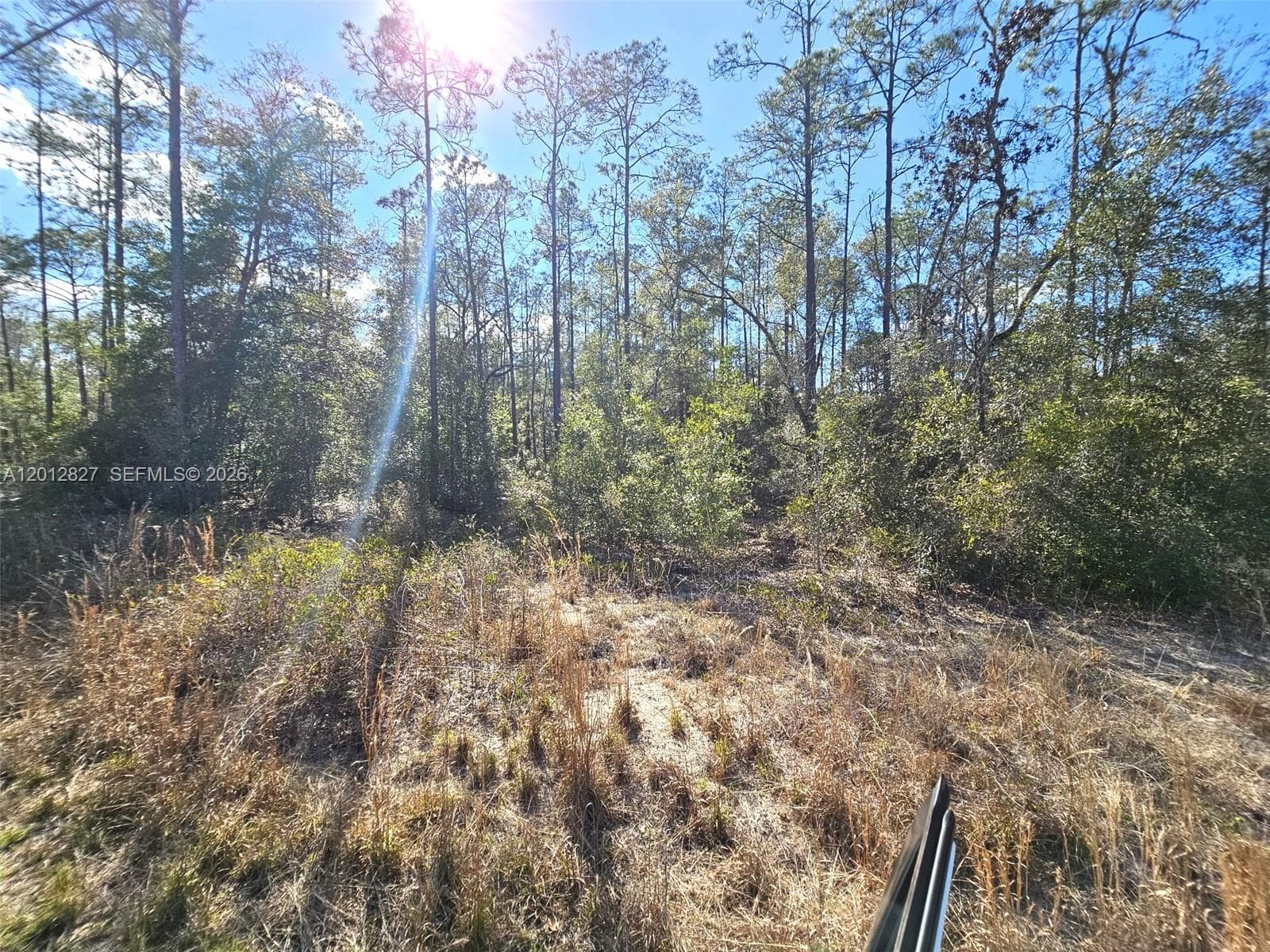 No situs SW Breezy Point DR., Other City - In The State Of Florida FL 34431