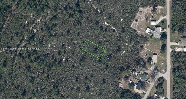 1425 Doolittle St, Lake Placid FL 33852