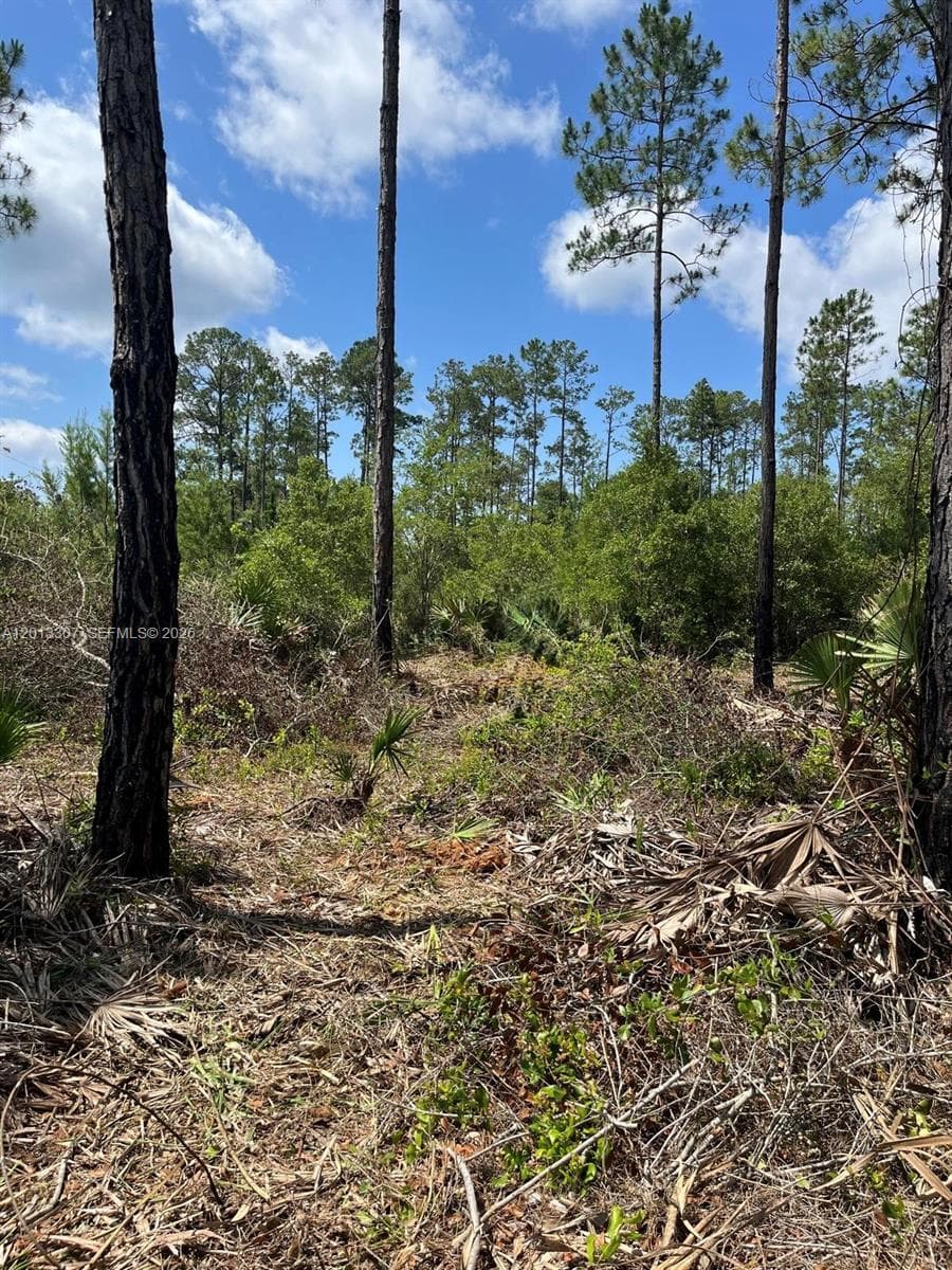117 Lodge Pole Cir, Other City - In The State Of Florida FL 32139