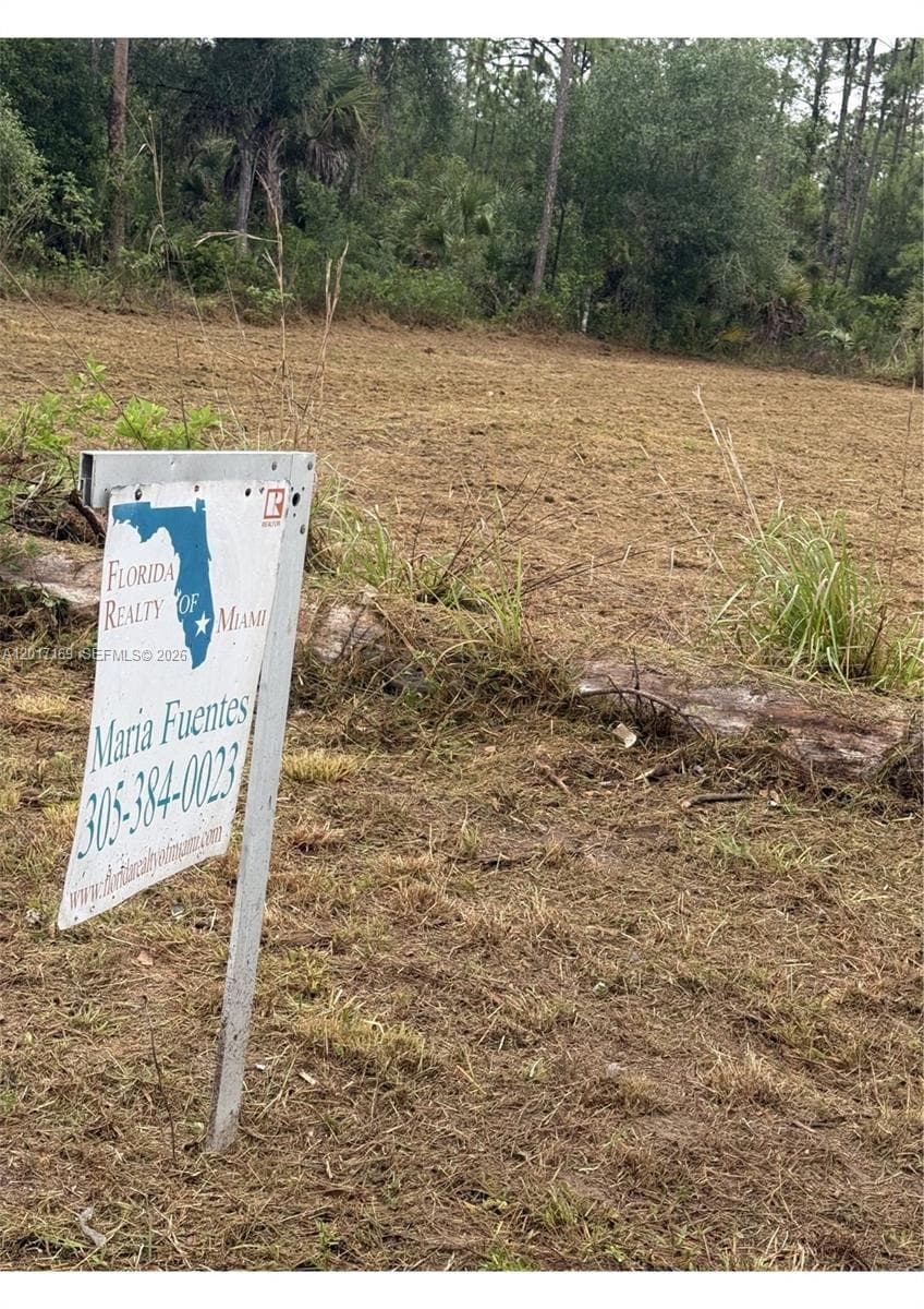 1243 Raphael  E, Lehigh Acres FL 33974
