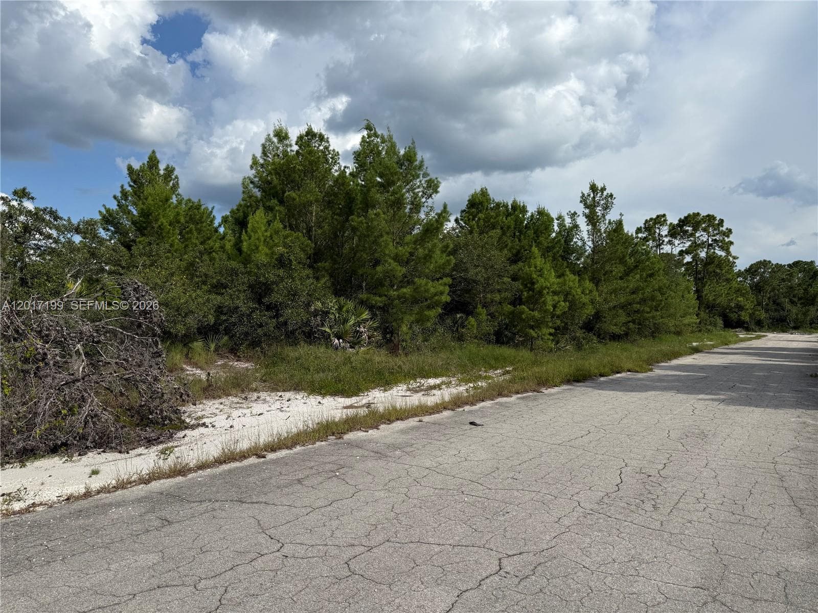 1518 Mangrove Street, Lake Placid FL 33852