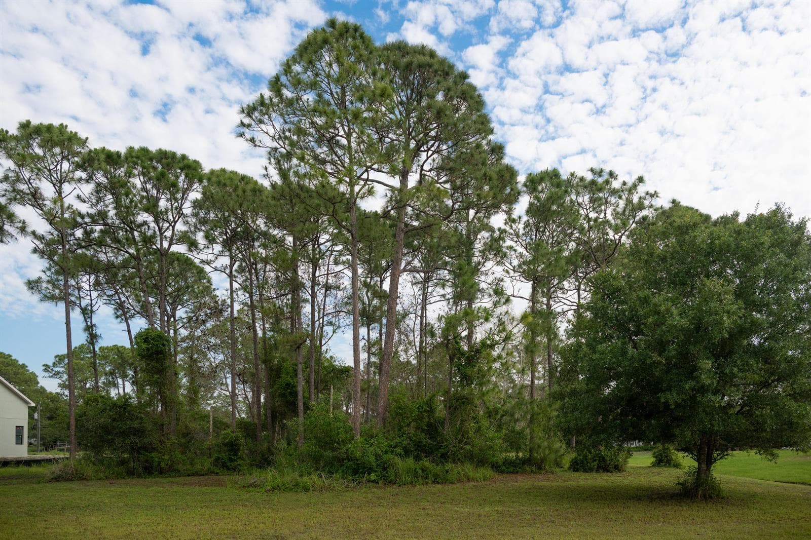10638 Sugar Pine Drive, Fort Pierce FL 34945