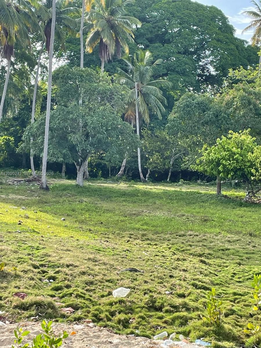 SAMANA, SANCHEZ-LOS ROBALOS, FL