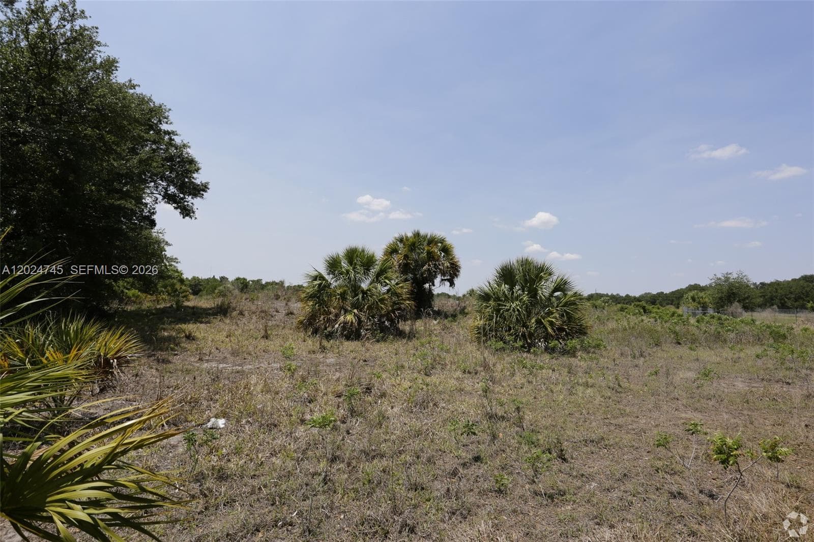 1527 N HIGHWAY 17, Unincorporated Dade County FL 34266