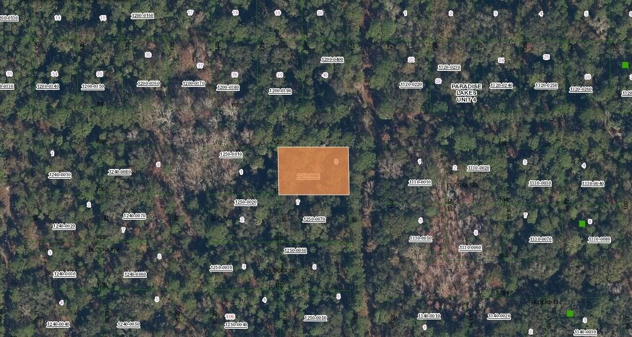 0 Spruce Drive, FL 32139