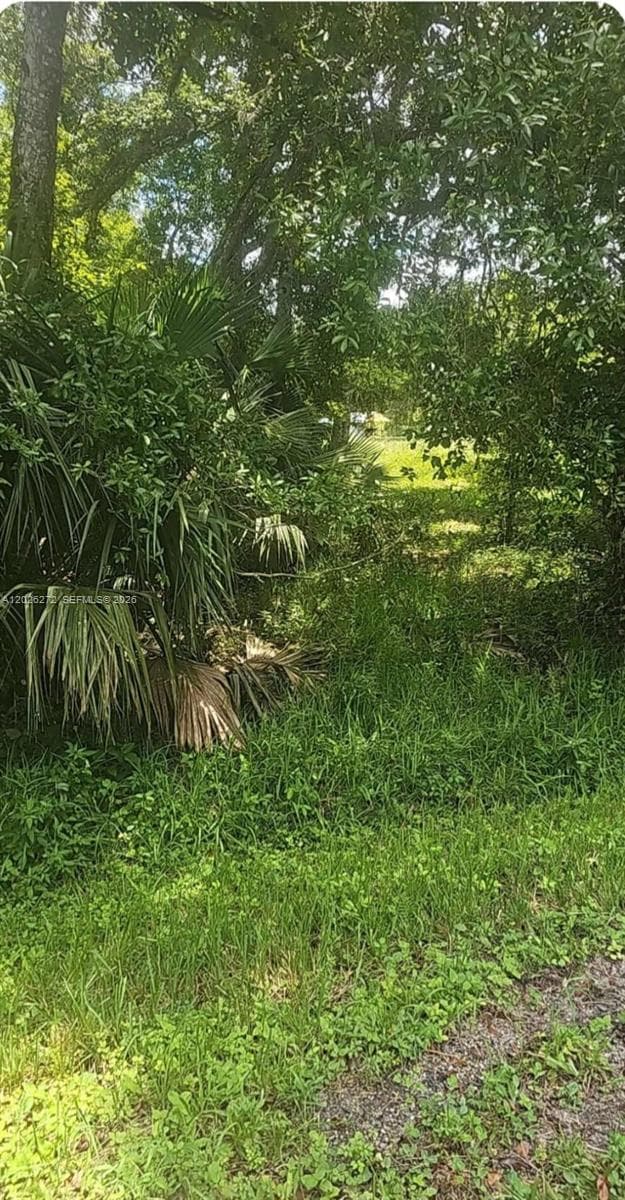 81 Magnolia  Ct Okeechobee, Other City - In The State Of Florida FL 34972