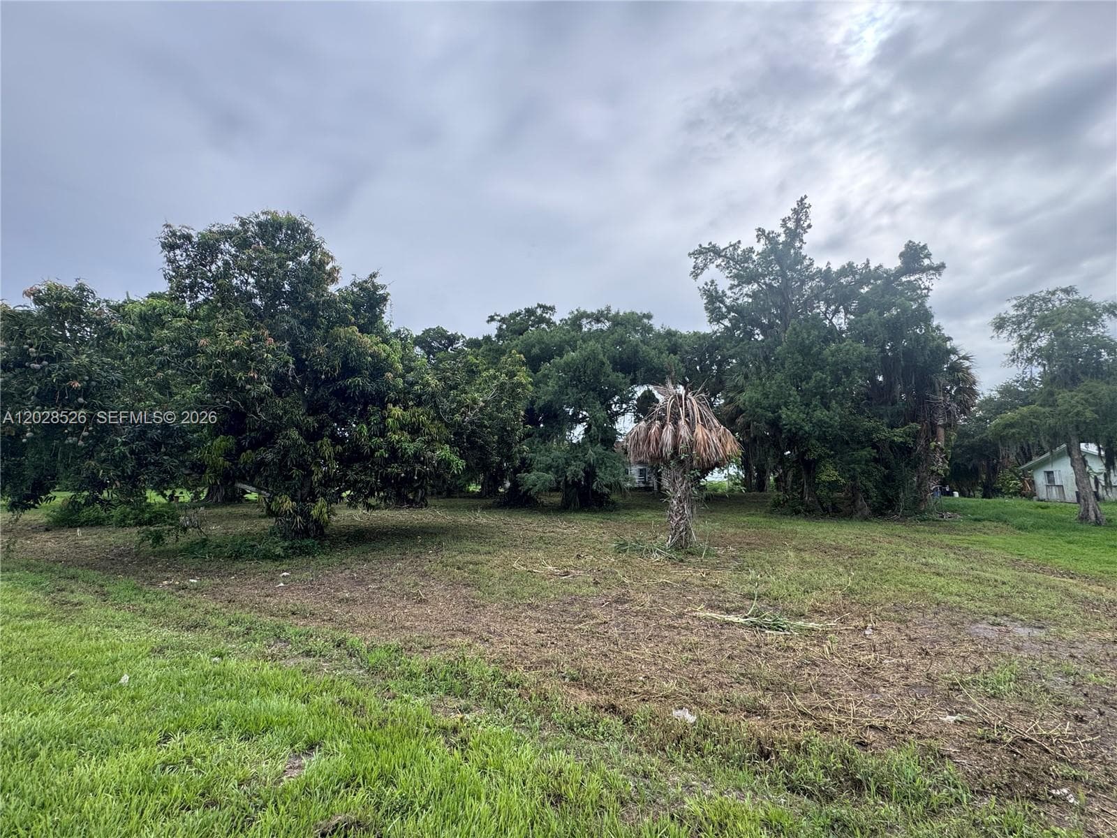 19121 SW Conners Hwy, Port Mayaca FL 33438