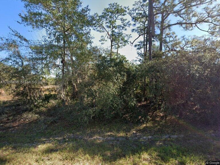 1334 ST Augustine Court, Other City - In The State Of Florida FL 34759