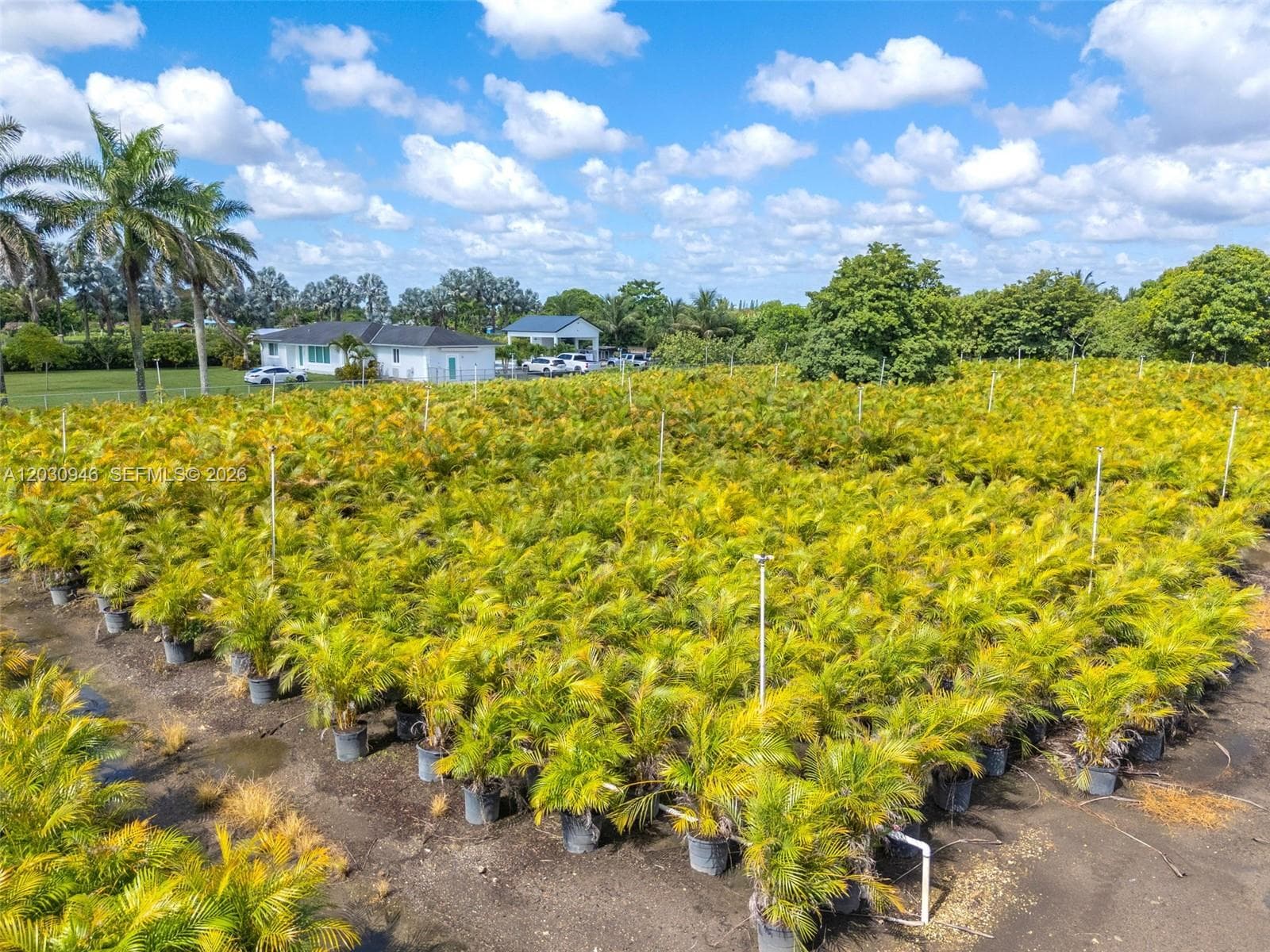 208 st SW 198 av, Miami FL 33187