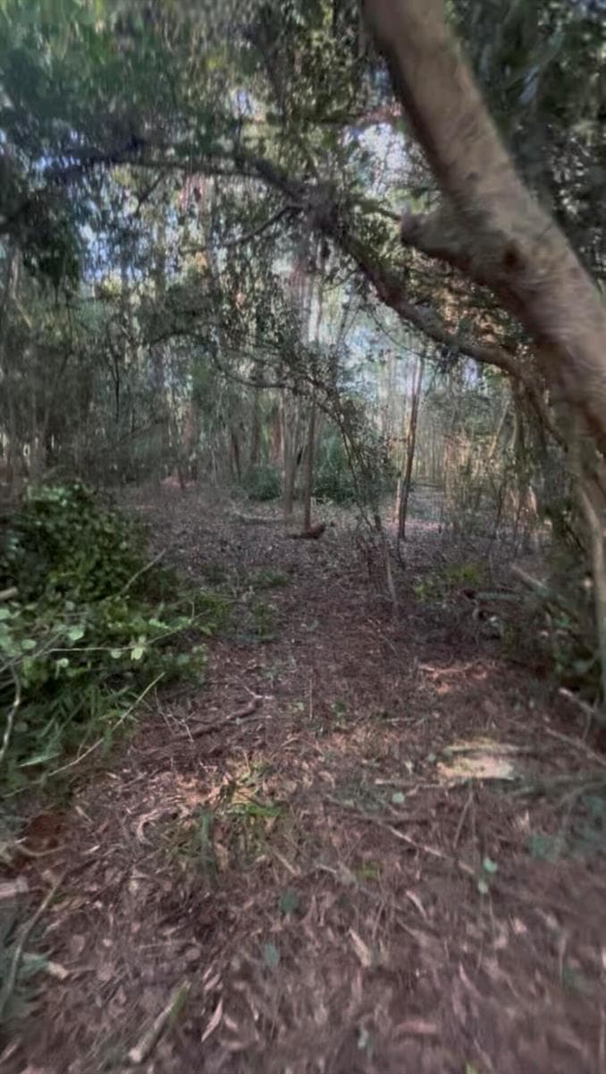 Property Images 5
