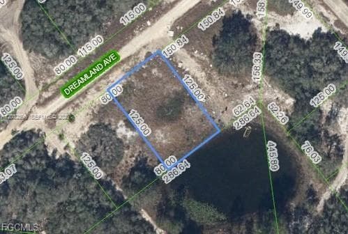 517 Dreamland Ave, Lake Placid FL 33852