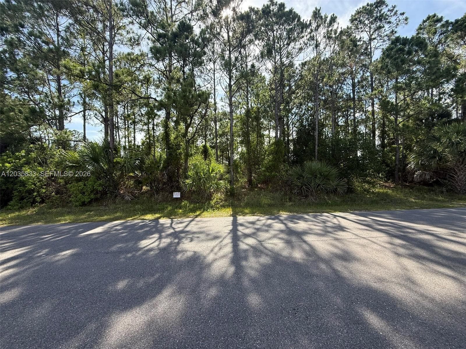 202 Jacaranda AVE NW, Palm Bay FL 32907