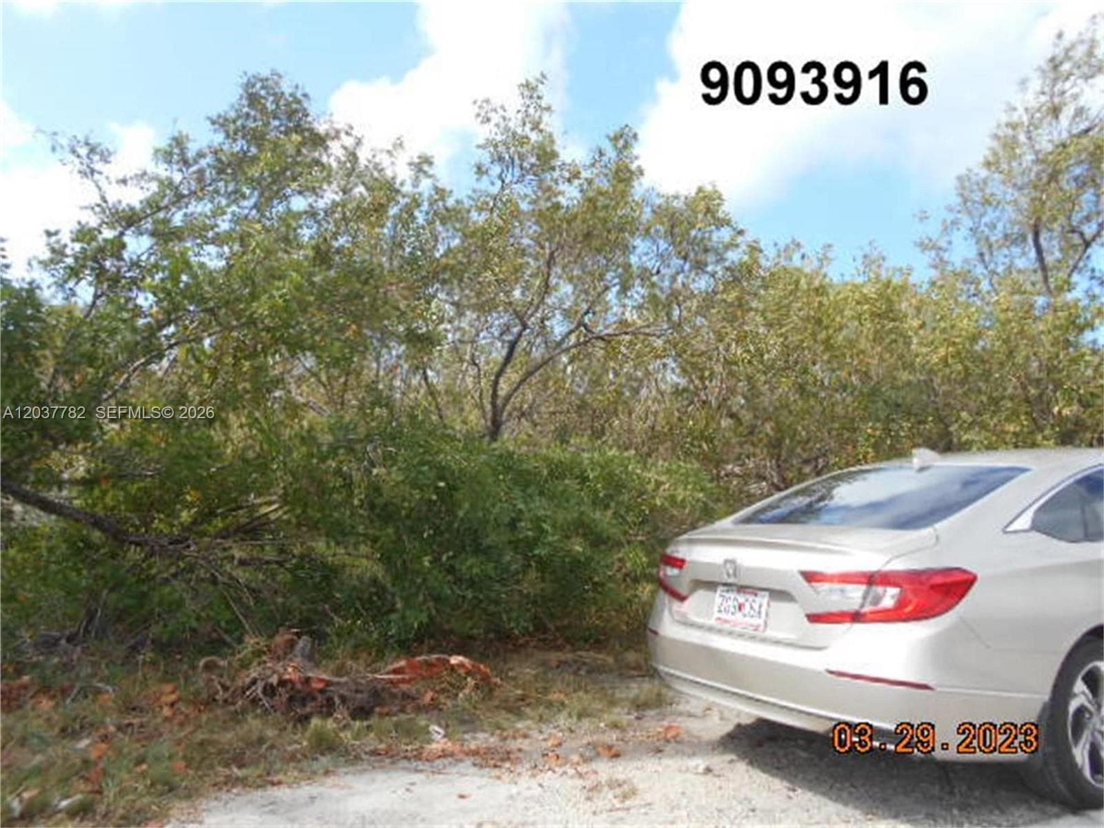 27334 Saint Lucie Ln, Big Pine FL 33042