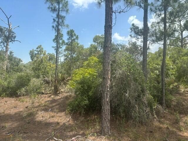 387 Marionette Avenue, Lake Placid FL 33852