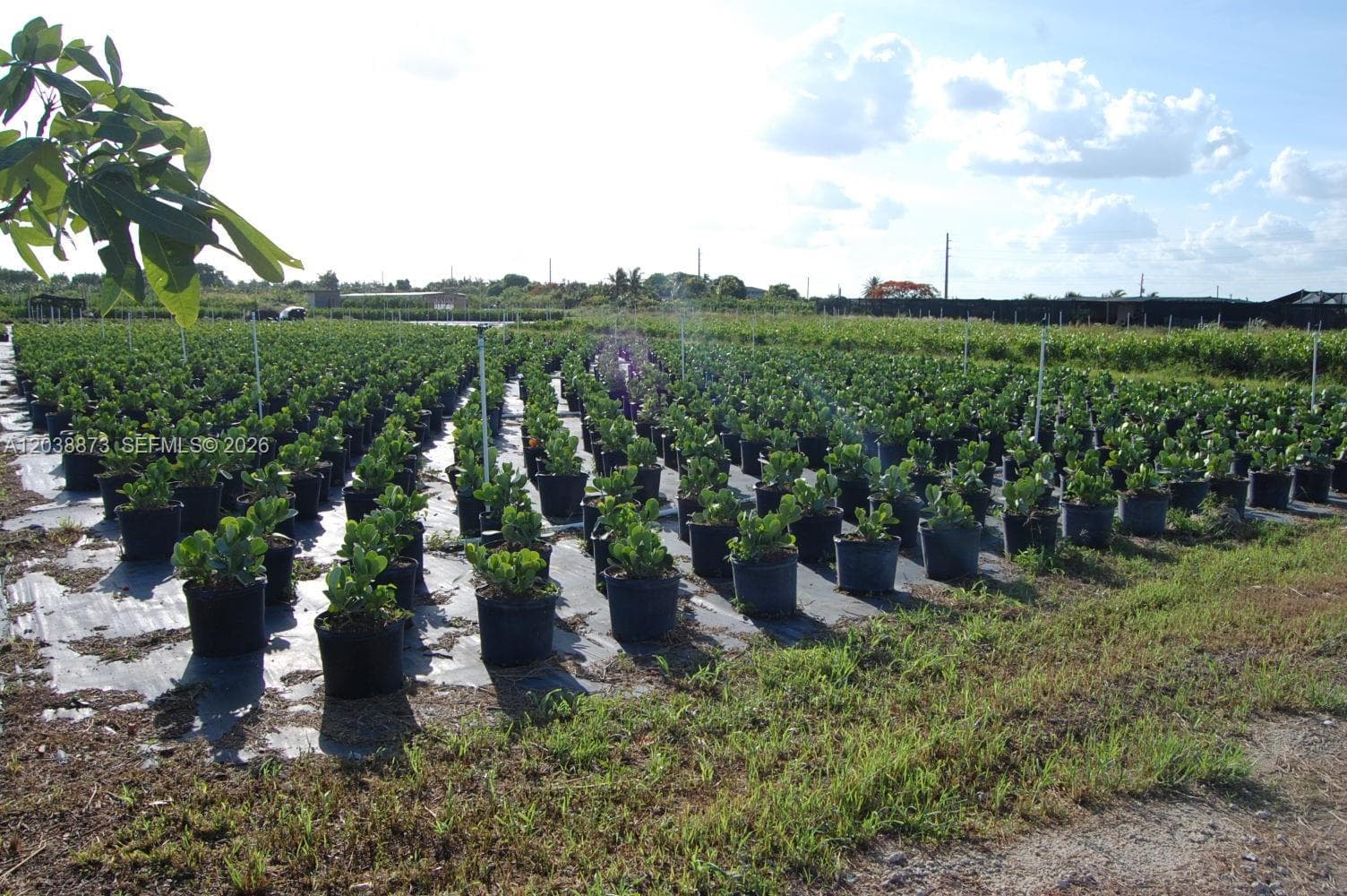 13648 SW 177 ave, Homestead FL 33196