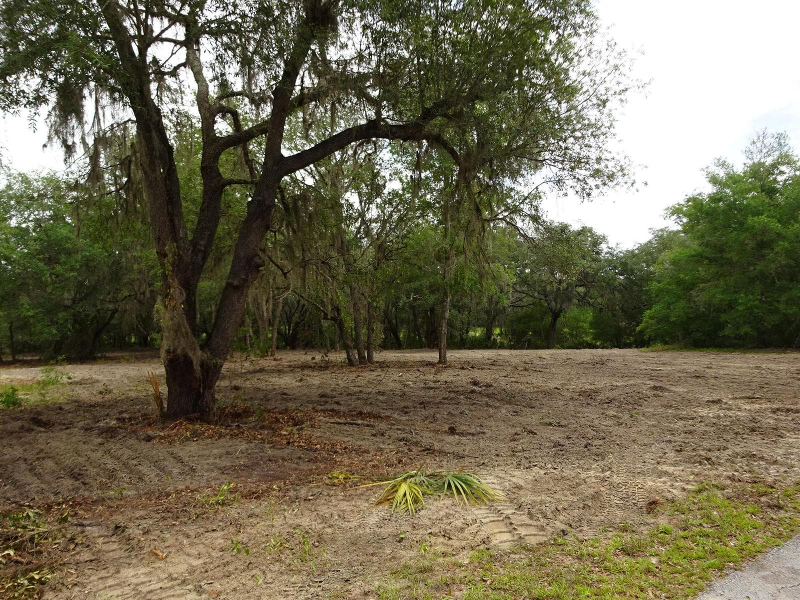 0000 SW Shorewood Drive, FL