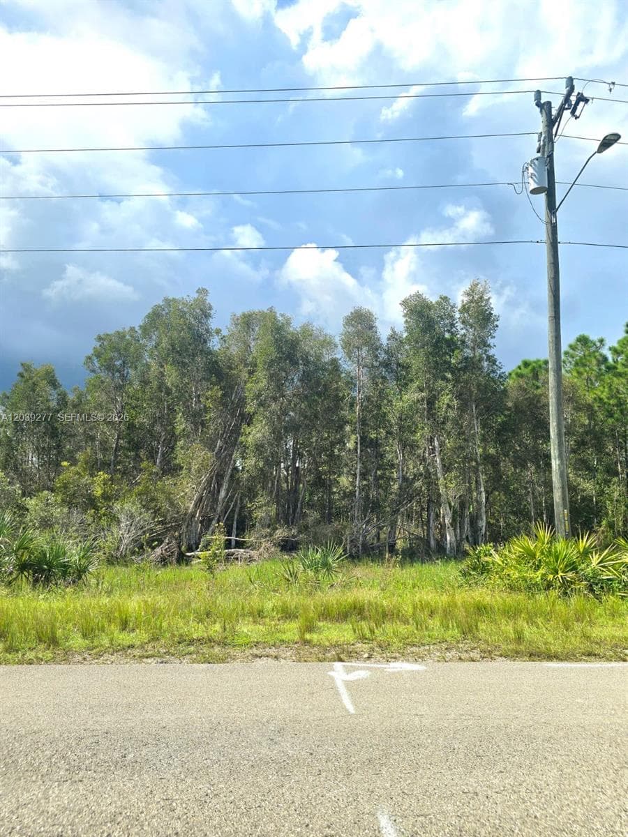 2650 Meadow RD, Lehigh Acres FL 33974