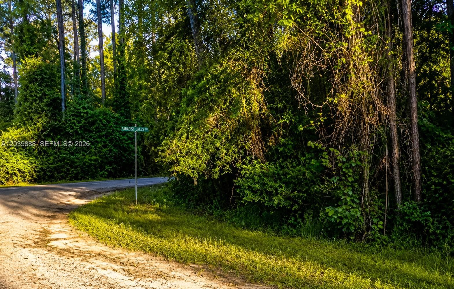 Other City - In The State Of Florida, FL, 32139