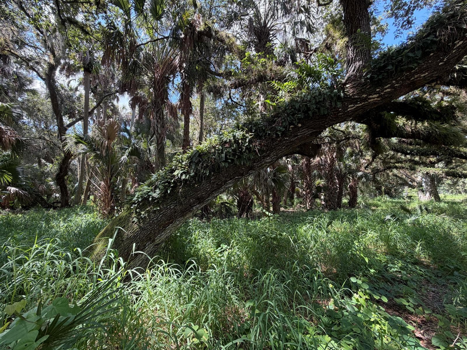 16477 NW 192nd Street, Okeechobee FL 34972