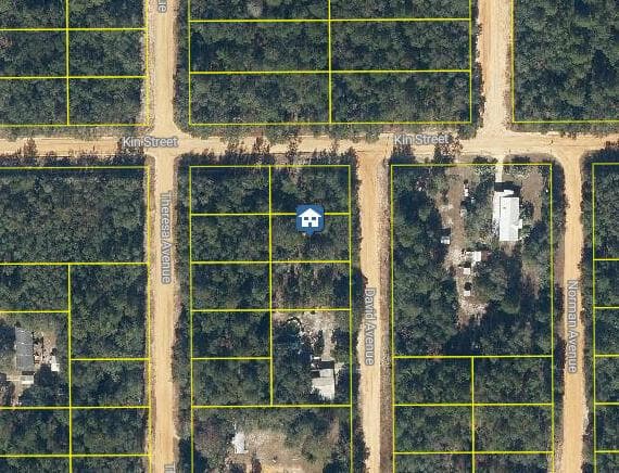 Lot 30 David Avenue, FL 32148