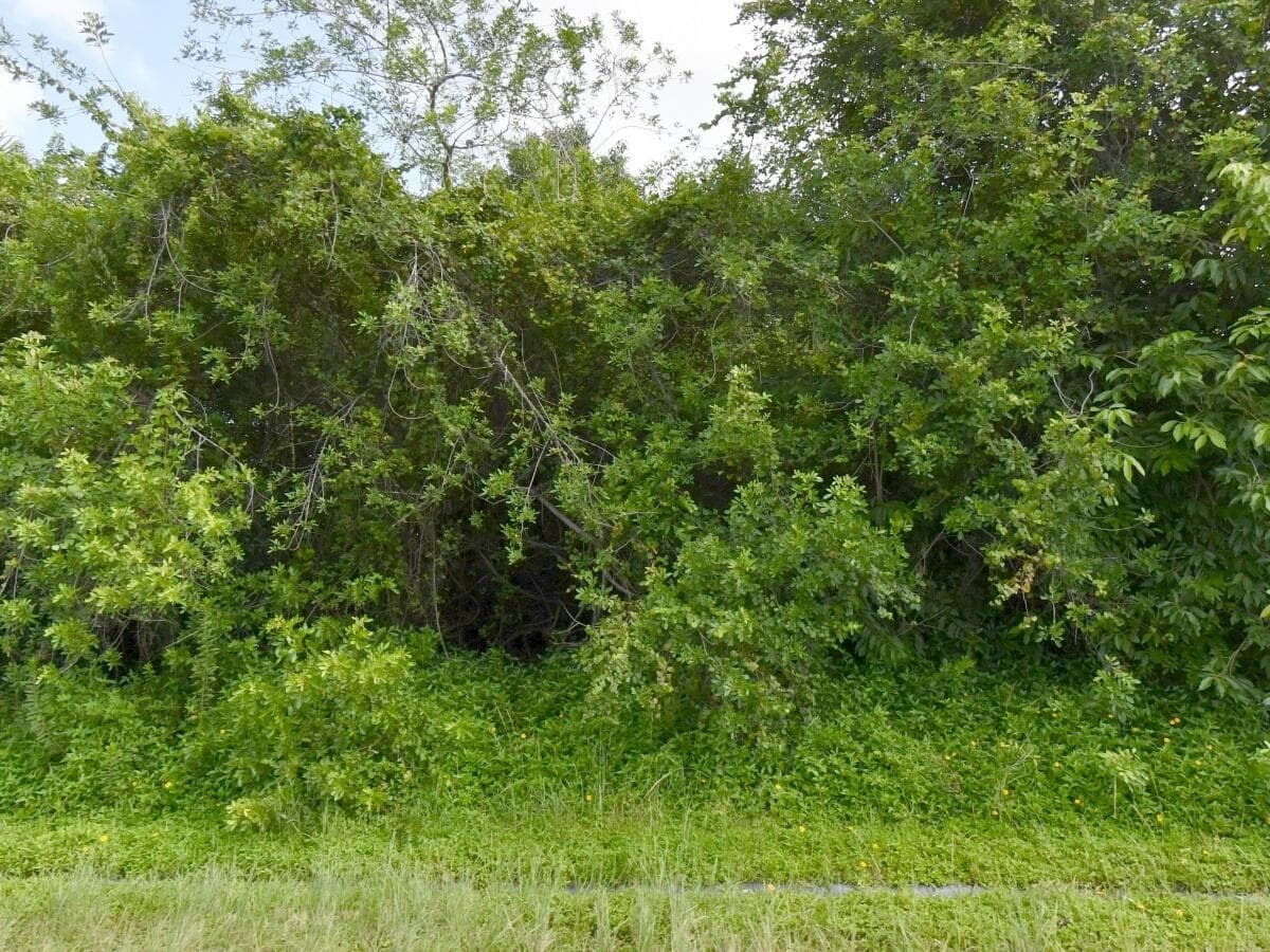 1081 SW Dartmouth Avenue SW, Port St. Lucie FL 34953
